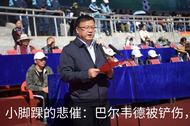 小脚踝的悲催：巴尔韦德被铲伤，预计休养两三周
